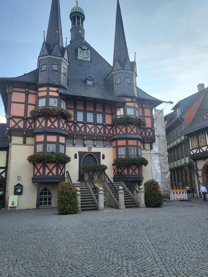 Appartement Zur Bergoase Mi Schwimmbad Hohegeiss Exterior photo